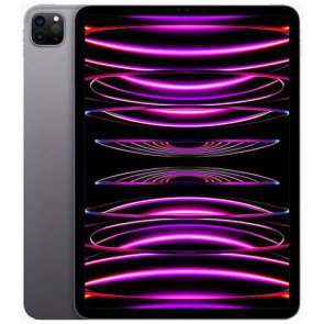 iPad Pro 11'' M2 Wi-Fi + Cellular 512GB Space Gray (MP593) 2022
