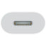 Перехідник Apple USB-C to Lightning (MUQX3)