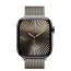 Apple Watch Series 10 42mm Natural Titanium with Natural Milanese Loop (MWXF3)
