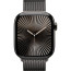 Apple Watch Series 10 46mm Slate Titanium with Slate Milanese Loop S/M (MC7R4)
