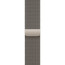 Apple Watch Series 10 42mm Natural Titanium with Natural Milanese Loop (MWXF3)