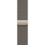 Apple Watch Series 10 46mm Natural Titanium with Natural Milanese Loop S/M (MC7Q4)
