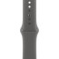 Apple Watch Series 10 46mm Natural Titanium with Stone Gray Sport Band S/M (MWY93)