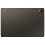 Планшет Samsung Galaxy Tab S9 5G 12/256GB Graphite (SM-X716BZAE) (1 рік гарантії)