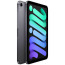 iPad Mini Wi-Fi + Cellular 256GB Space Grey (MK8F3) 2021
