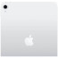 iPad Wi-Fi 256GB Silver (MPQ83) 2022