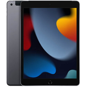 iPad Wi-Fi + Cellular 256GB Space Grey (MK693) 2021