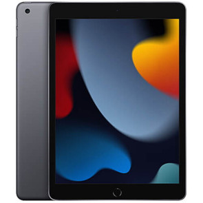 iPad Wi-Fi 256GB Space Grey (MK2N3) 2021