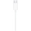 Apple EarPods (USB-C) (MTJY3)